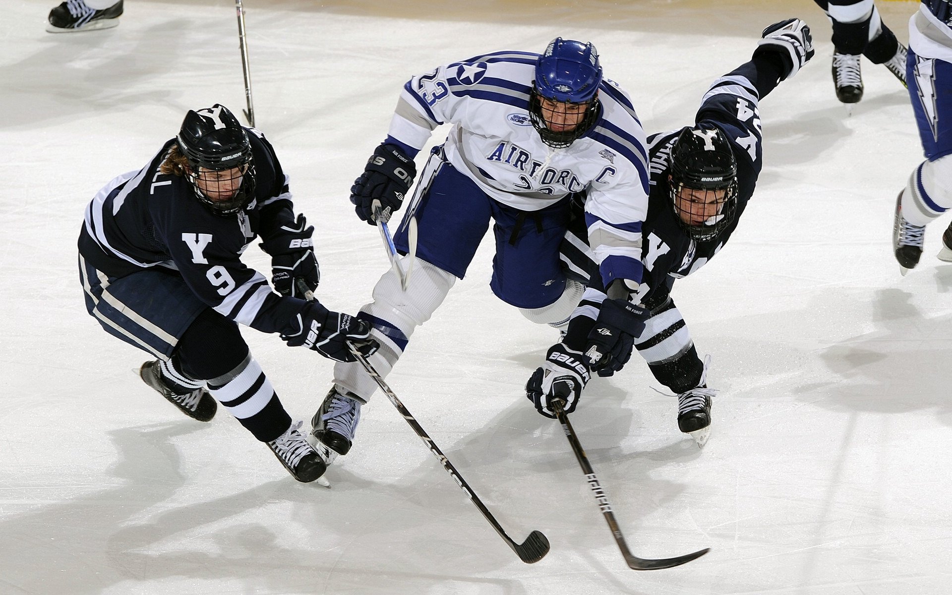 中国足协成立裁判学院，提升执法水平，足球裁判协会